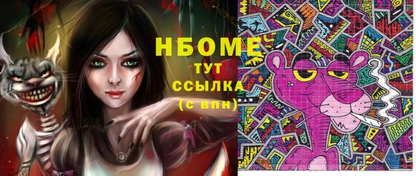 индика Беломорск