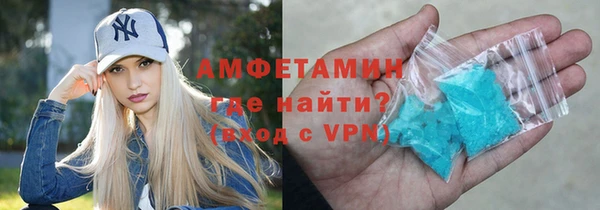 индика Беломорск