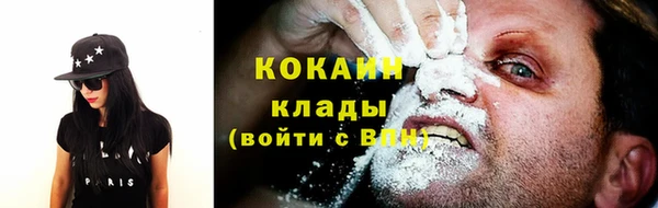 индика Беломорск