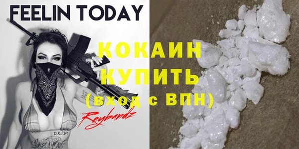 индика Беломорск