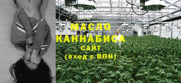индика Беломорск