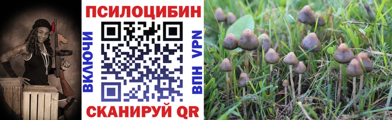Псилоцибиновые грибы Magic Shrooms  Малая Вишера 