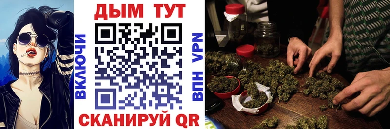 Канабис планчик  даркнет сайт  Малая Вишера 